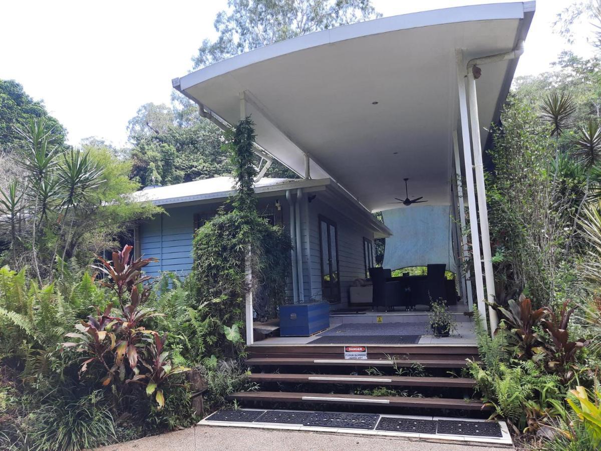 קאו ביי Daintree Rainforest Accommodation מראה חיצוני תמונה
