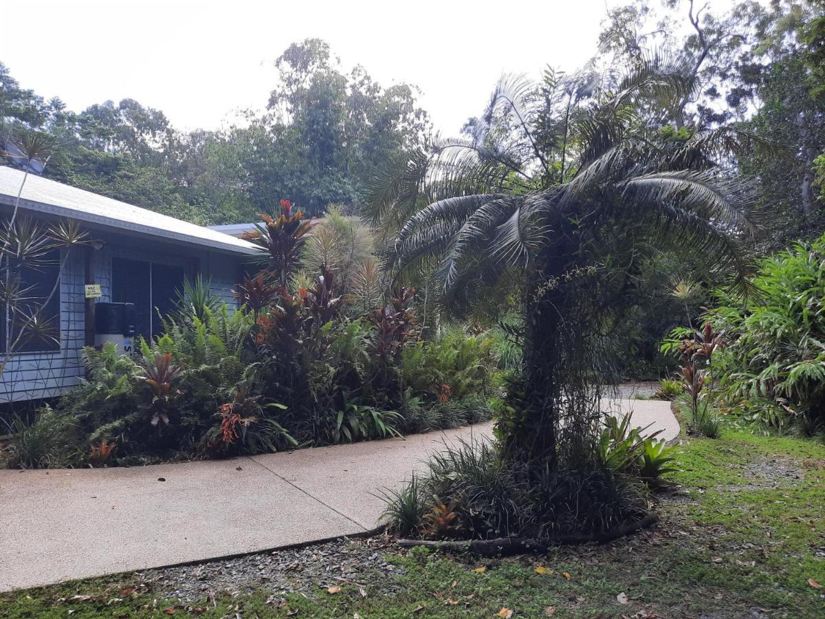 קאו ביי Daintree Rainforest Accommodation מראה חיצוני תמונה