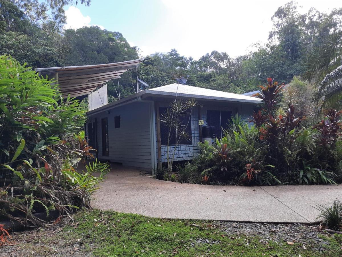 קאו ביי Daintree Rainforest Accommodation מראה חיצוני תמונה